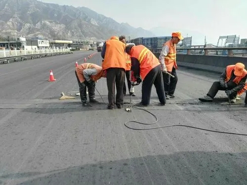 海兴道路桥梁病害治理